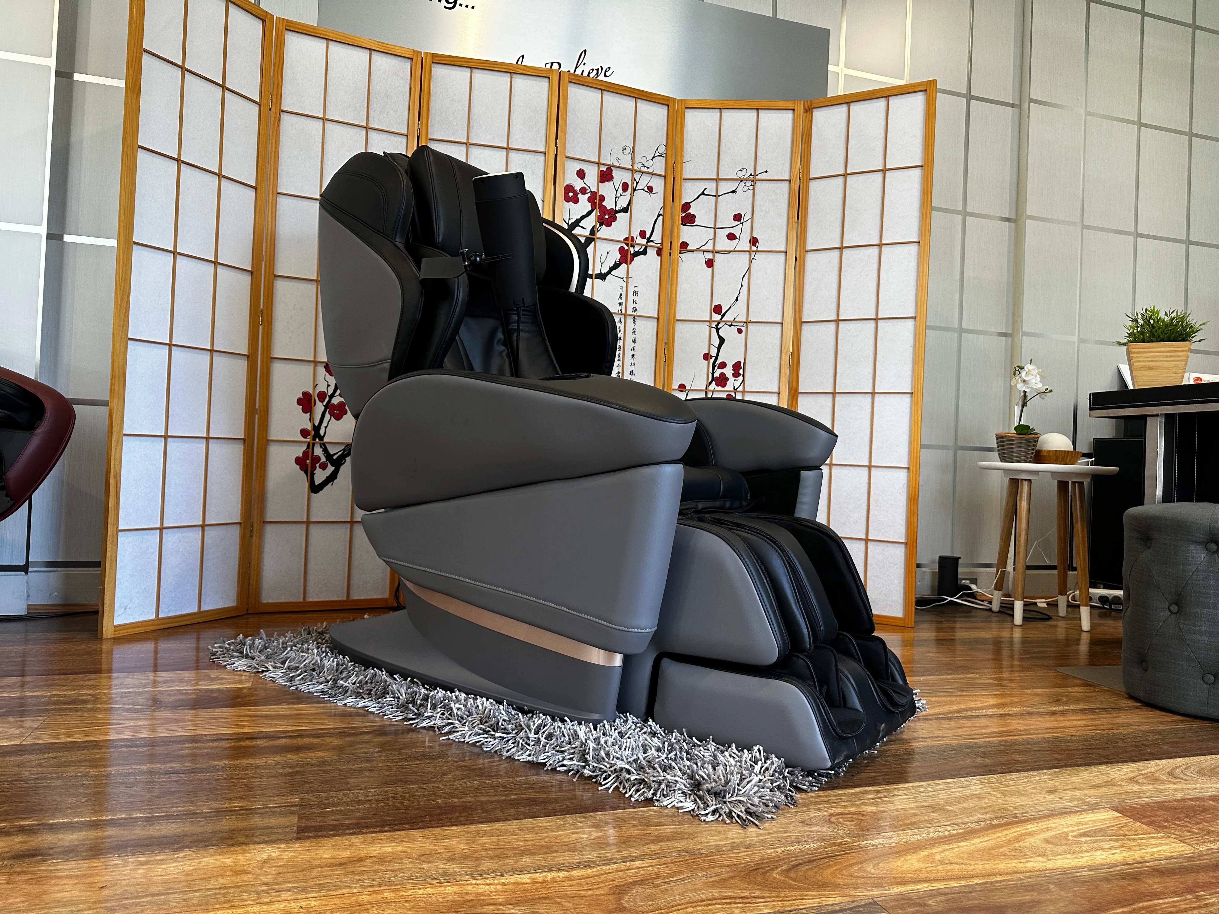 Fujiiryoki JP3000 Medical Massage Chair - Image 5